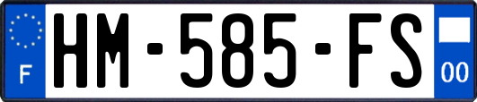 HM-585-FS