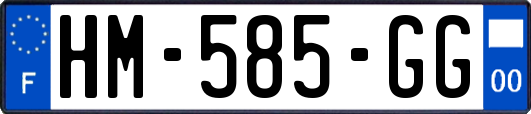 HM-585-GG