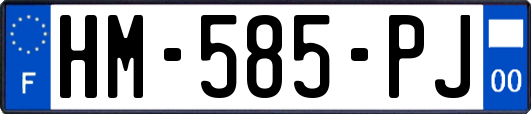 HM-585-PJ