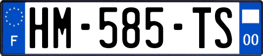 HM-585-TS
