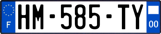 HM-585-TY
