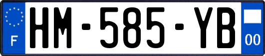 HM-585-YB