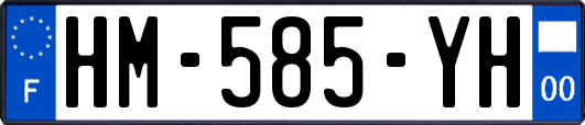 HM-585-YH