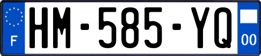 HM-585-YQ