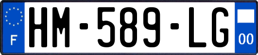HM-589-LG