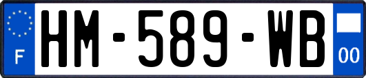 HM-589-WB