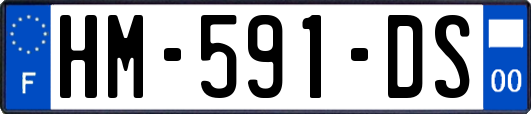 HM-591-DS
