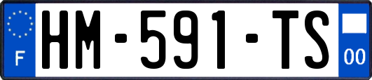 HM-591-TS