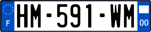 HM-591-WM