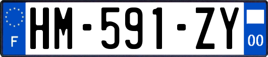 HM-591-ZY
