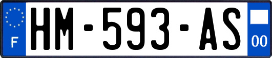 HM-593-AS