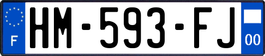 HM-593-FJ