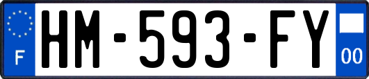 HM-593-FY