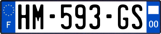 HM-593-GS