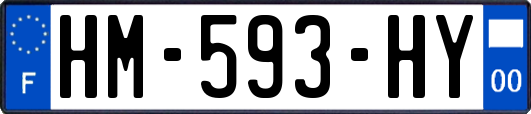 HM-593-HY