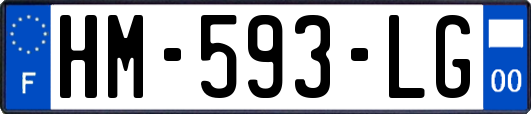 HM-593-LG
