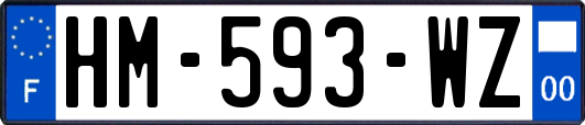 HM-593-WZ