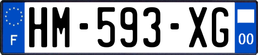 HM-593-XG