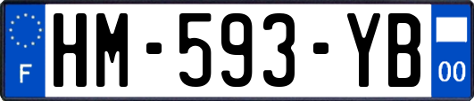 HM-593-YB