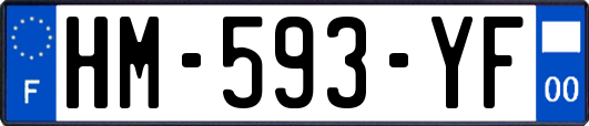 HM-593-YF