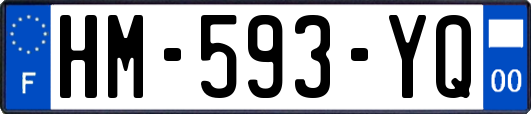 HM-593-YQ
