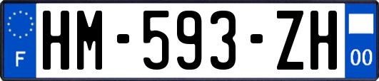 HM-593-ZH