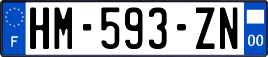 HM-593-ZN