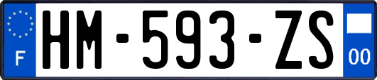 HM-593-ZS