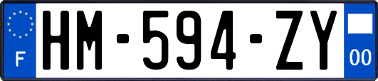 HM-594-ZY
