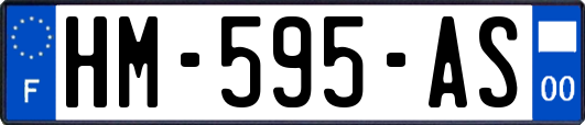 HM-595-AS