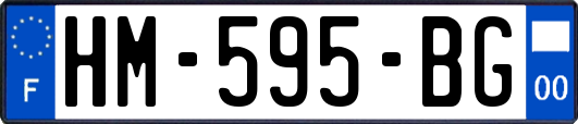 HM-595-BG