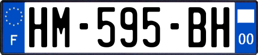 HM-595-BH