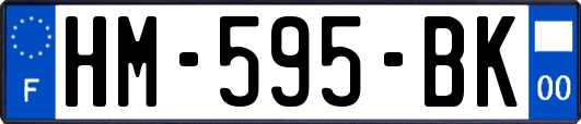 HM-595-BK