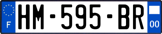 HM-595-BR