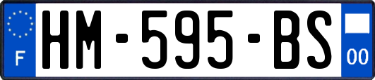 HM-595-BS