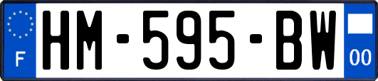 HM-595-BW