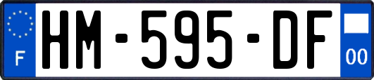 HM-595-DF