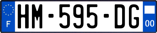 HM-595-DG