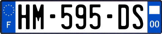 HM-595-DS