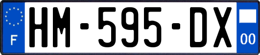 HM-595-DX