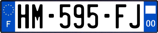 HM-595-FJ