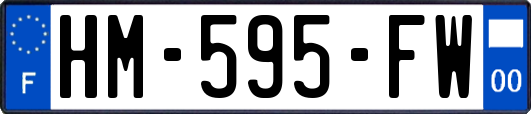 HM-595-FW