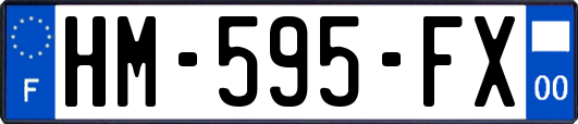 HM-595-FX