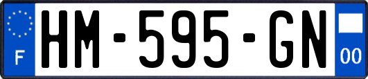 HM-595-GN