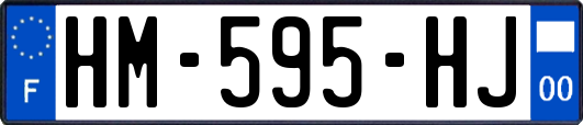 HM-595-HJ
