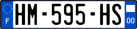 HM-595-HS