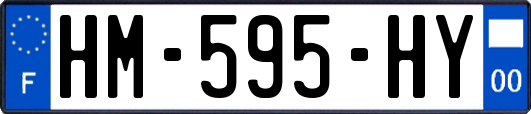 HM-595-HY