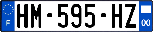 HM-595-HZ