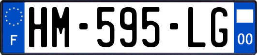 HM-595-LG