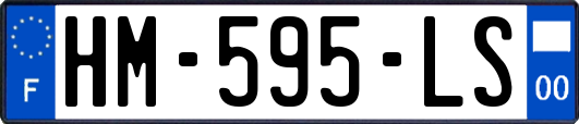 HM-595-LS